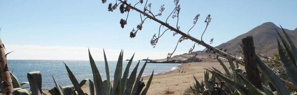Hostal Casa Emilio Almeria Bagian luar foto